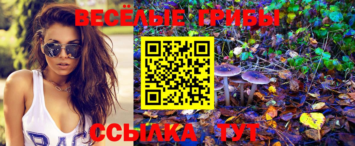 Бирск  Галлюциногенные грибы мухоморы  Псилоцибиновые грибы GOLDEN TEACHER  Вход с VPN 